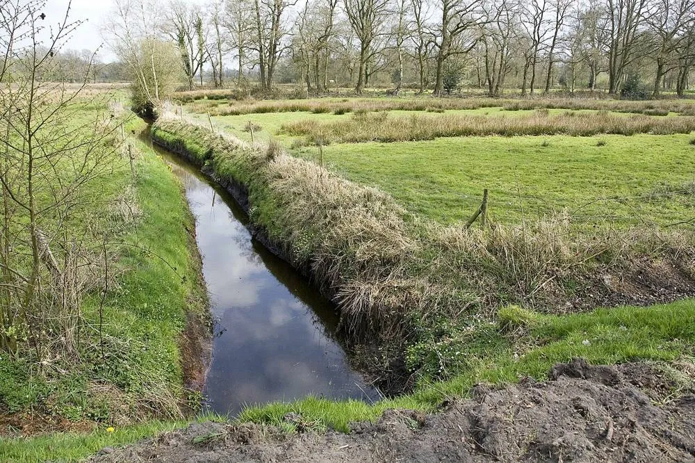 Anderen: Zicht op het Scheebroekenloopje - Anderen - 20528409 - RCE