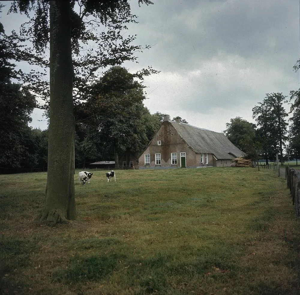 Wapserveen: Overzicht boerderij - Wapserveen - 20375494 - RCE