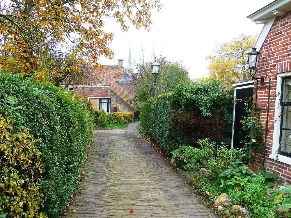 Niehove: Niehove - Molenpad